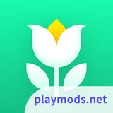 Plant Parent: Plant Care Guide1.31_funmod.online