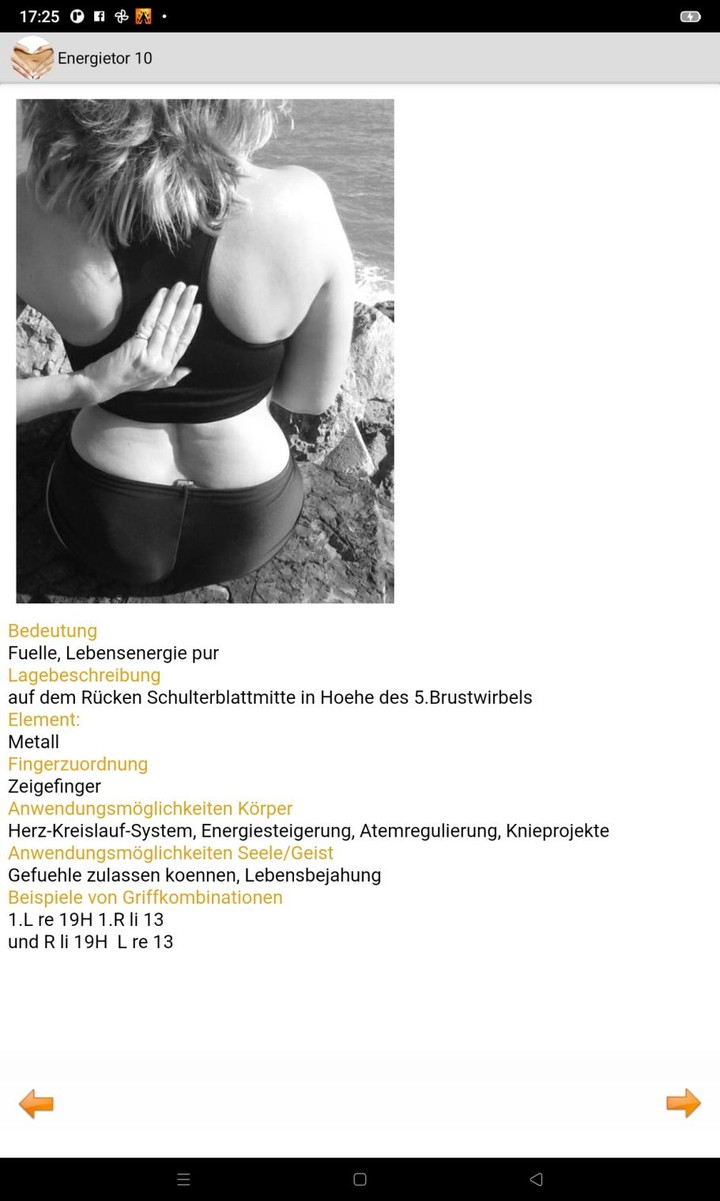 Heilströmen screenshot image 15_funmod.online