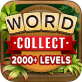 Word Collect - Word Games Fun1.344_funmod.online