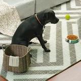 Pet Life Simulator Pet Games0.1_funmod.online