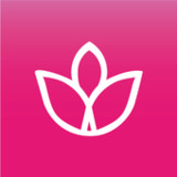 SPA Latino0.0.45_funmod.online