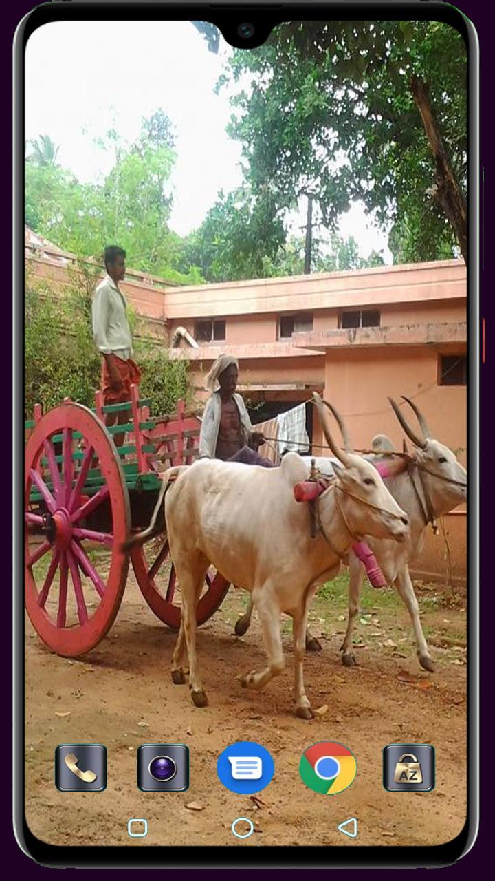 Medical Logo Maker screenshot image 21_funmod.online