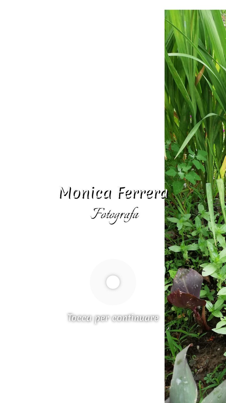 STAR - Вызов Такси онлайн screenshot image 1_funmod.online