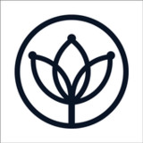 Hollywood Clinic1.7_funmod.online