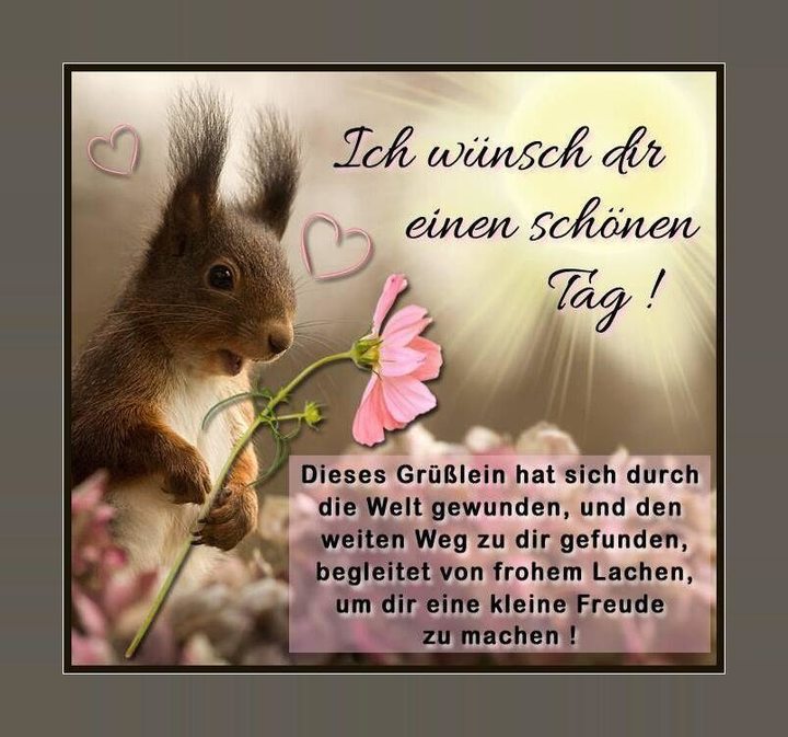 Schönen Tag Bilder screenshot image 2_funmod.online