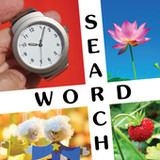 10x10 Word Search1.0.4_funmod.online