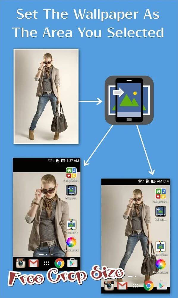 CEDISA screenshot image 1_funmod.online