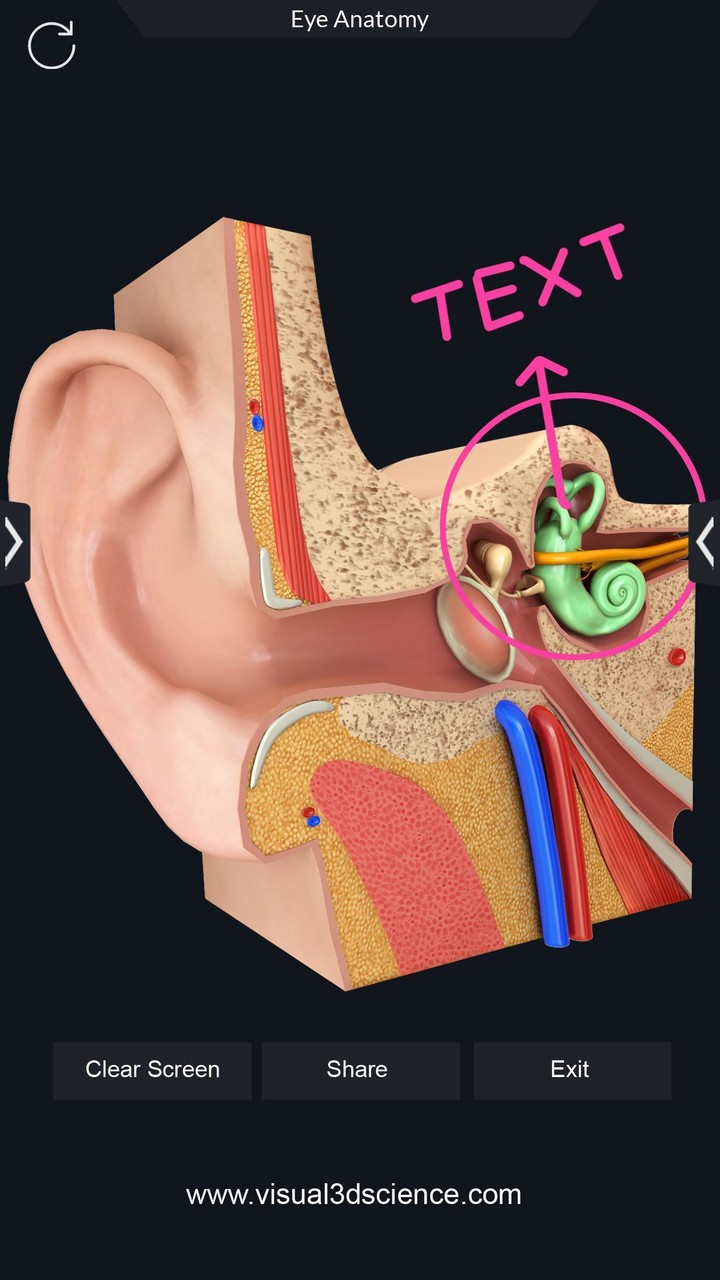 Organs Anatomy Pro. screenshot image 7_funmod.online