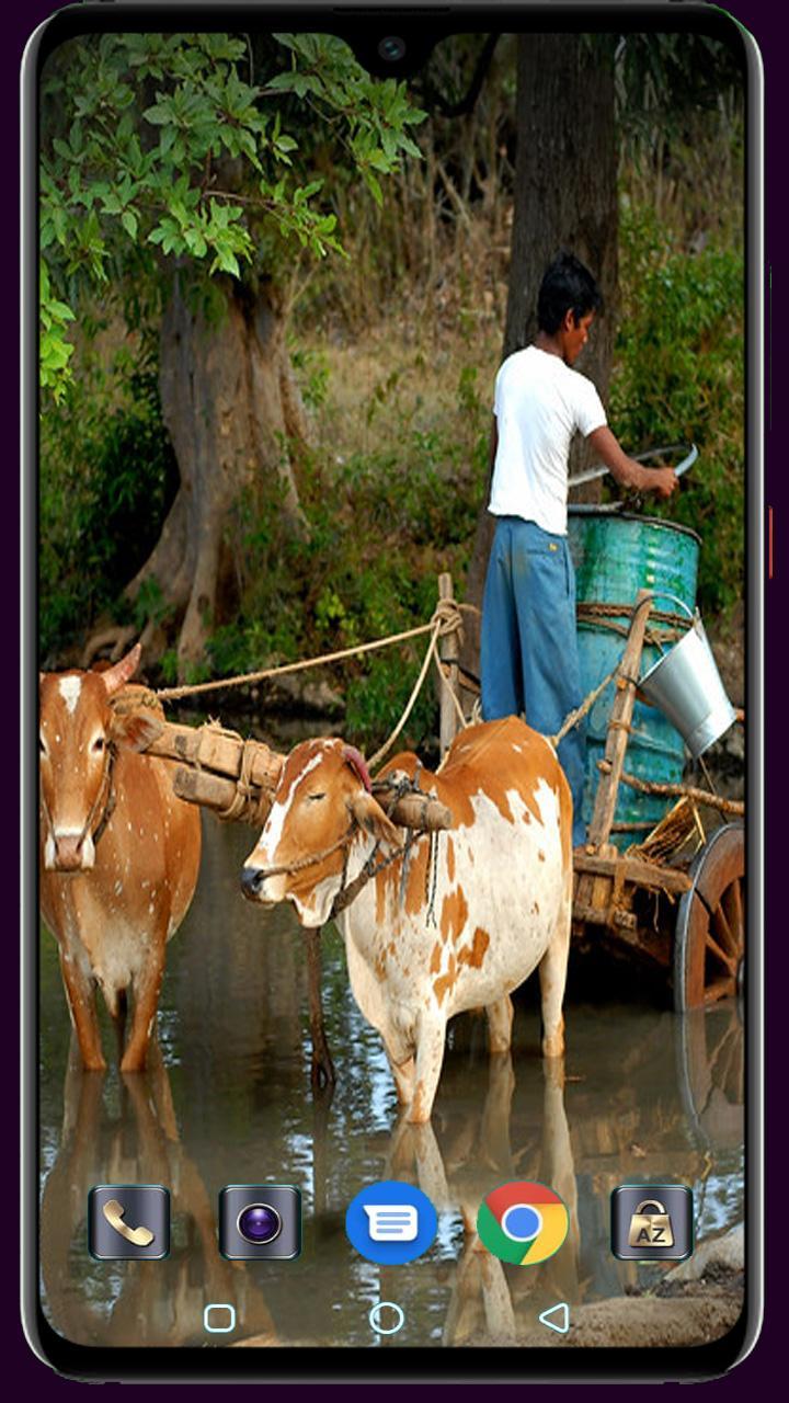 Medical Logo Maker screenshot image 19_funmod.online