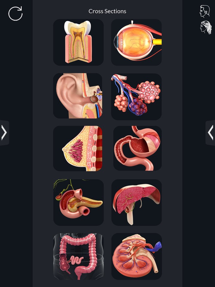 Organs Anatomy Pro. screenshot image 9_funmod.online