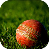 Cricket Wallpapers11_rowtechapk.com