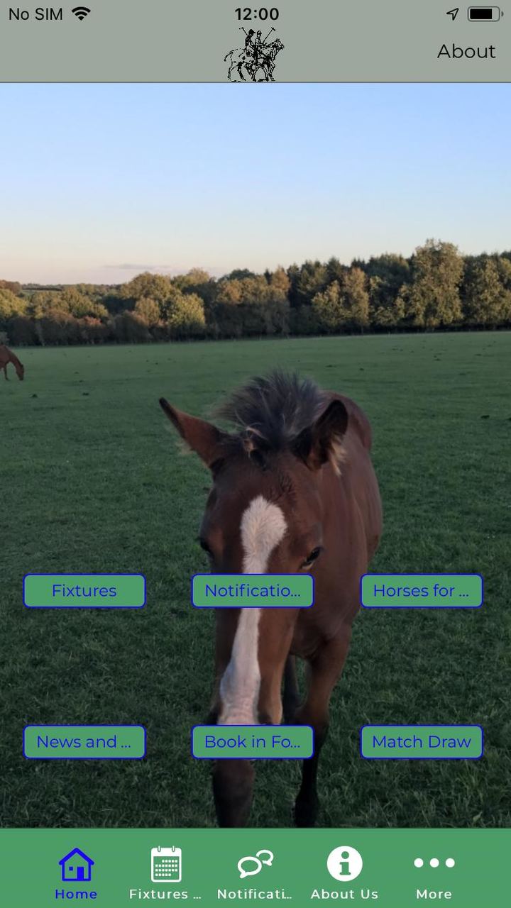 Edgeworth Polo Club screenshot image 6_funmod.online