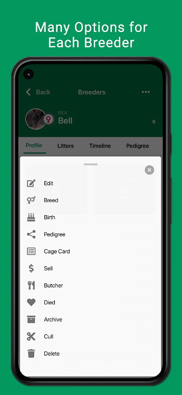 سورة البقرة مكتوبة كاملة screenshot image 1_funmod.online
