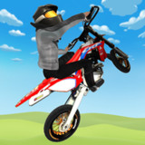 Wheelie King 5 - Mx bikes 20231_funmod.online