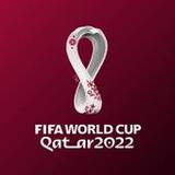 FIFA WORLD CUP 20223.4_funmod.online