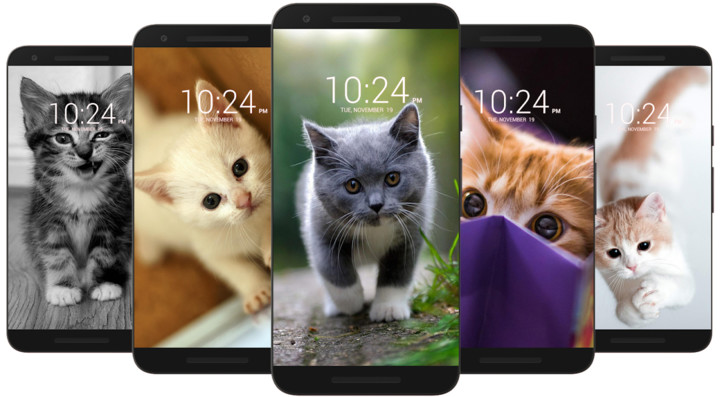 Kitten & Cute Cat Wallpaper HD screenshot image 5_funmod.online