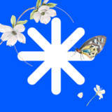 Starex.az5.19.3_funmod.online