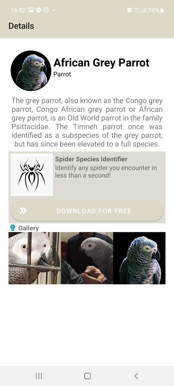 Hz. Ebubekir Sözleri screenshot image 15_funmod.online