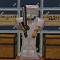 Minecraft<span>(Mutation 100 Days Lite)</span>1.2.0.7_funmod.online