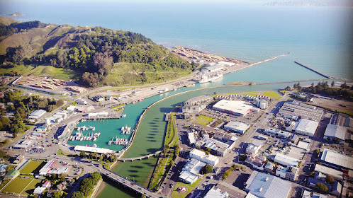 StorySave<span>(Mod APK)</span> screenshot image 3_funmod.online