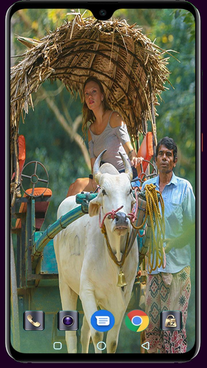 Medical Logo Maker screenshot image 16_funmod.online