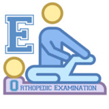 Orthopedic Examination & Tests1.9_funmod.online