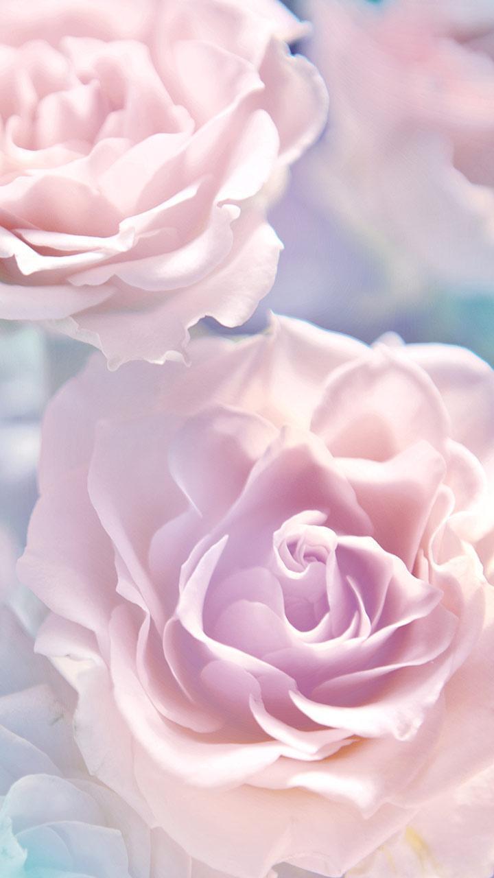 Rose Live Wallpaper screenshot image 10_funmod.online