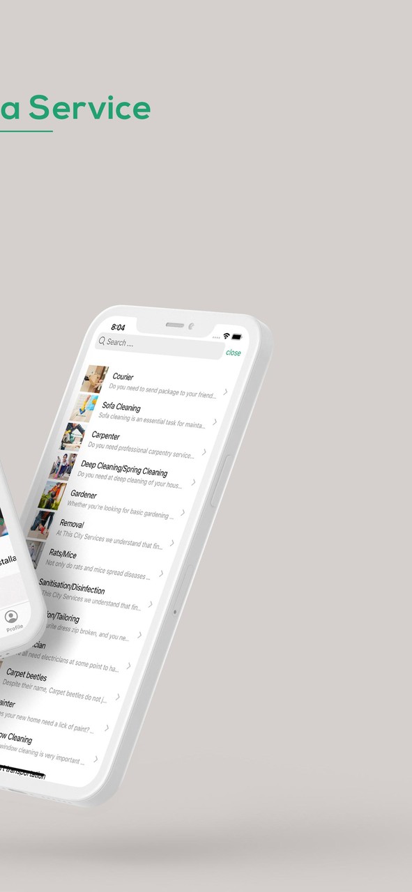 This City Services screenshot image 24_funmod.online