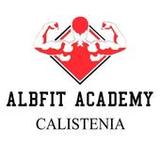 ALBFIT ACADEMY CALISTENIA1.3_funmod.online