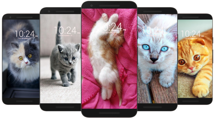 Kitten & Cute Cat Wallpaper HD screenshot image 1_funmod.online
