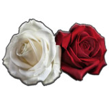 Flower sticker for Whatsapp -W1.0_funmod.online