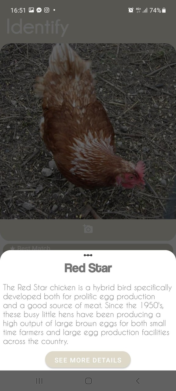 Hz. Ebubekir Sözleri screenshot image 4_funmod.online