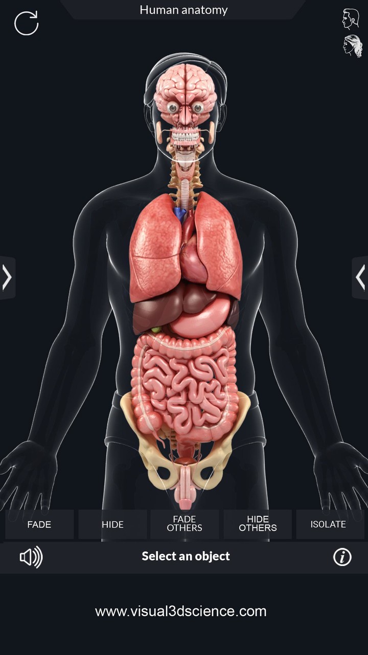 Organs Anatomy Pro. screenshot image 6_funmod.online