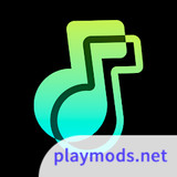 Offline Music Player- Weezer<span>(Premium Unlocked)</span>3.4.0_funmod.online