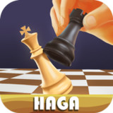 Play Chess Online Games: Haga1.1.2_funmod.online