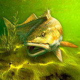 My Fishing World<span>(Unlimited Currency)</span>1.15.21_rowtechapk.com