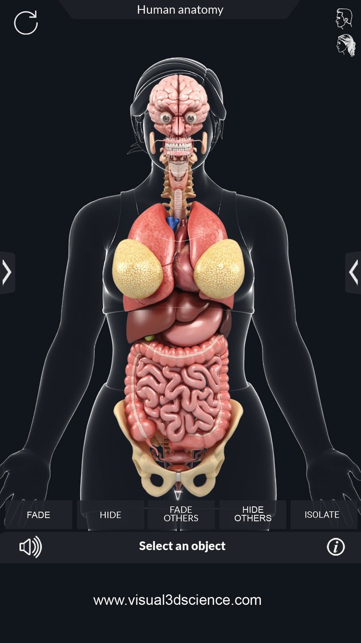 Organs Anatomy Pro. screenshot image 5_funmod.online