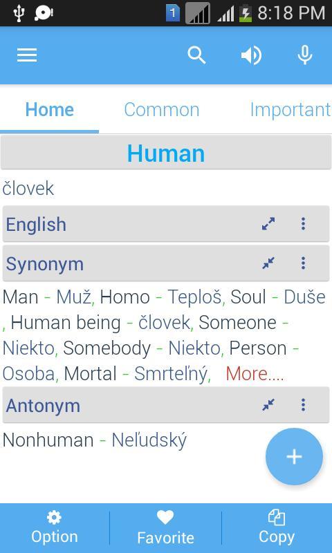 Slovak Dictionary screenshot image 18_funmod.online