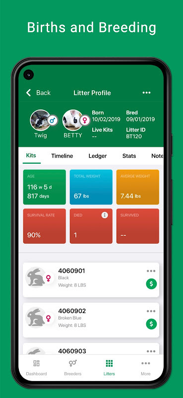 سورة البقرة مكتوبة كاملة screenshot image 3_funmod.online