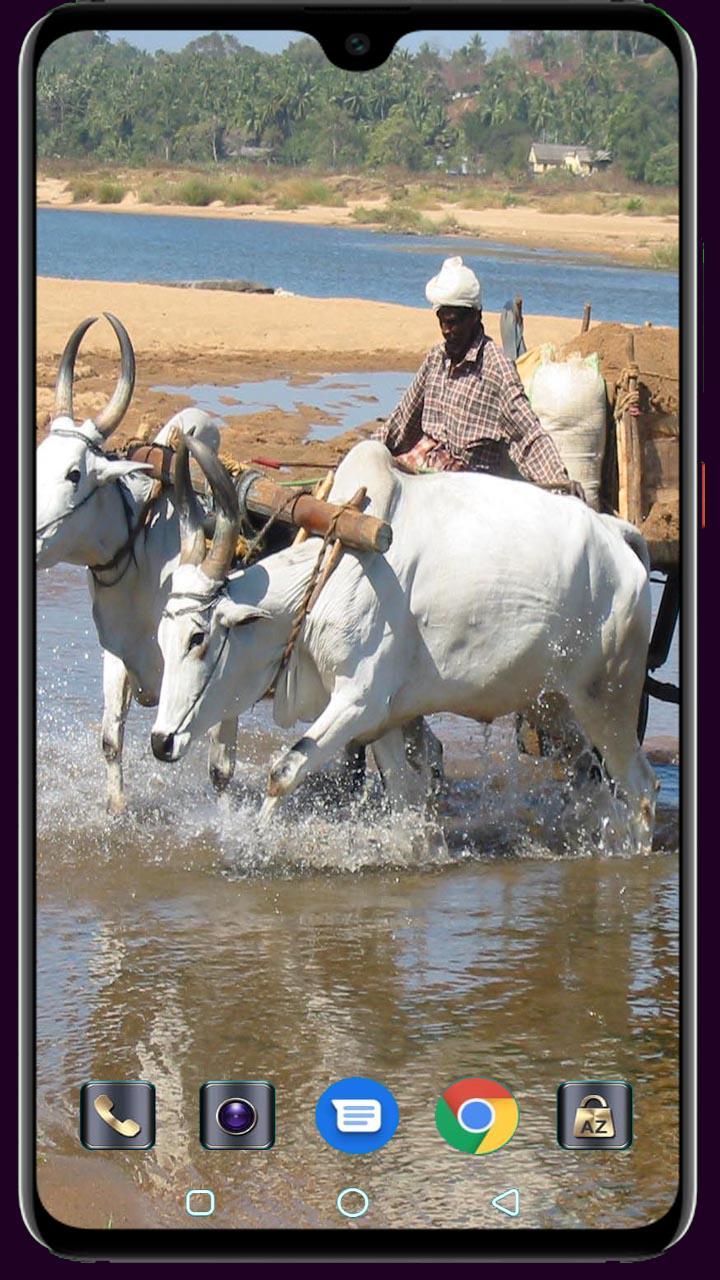 Medical Logo Maker screenshot image 26_funmod.online