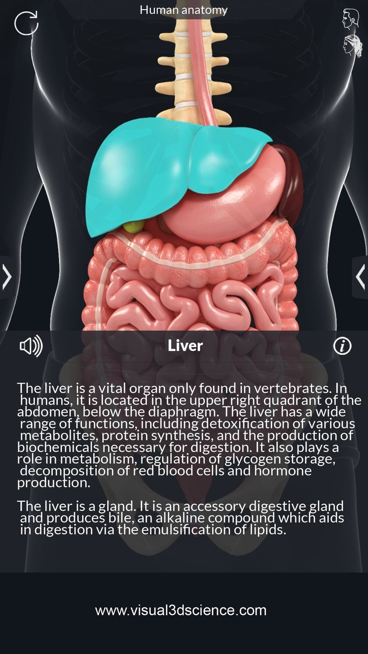 Organs Anatomy Pro. screenshot image 3_funmod.online
