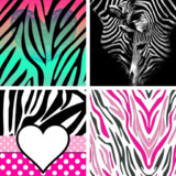 Zebra Print Wallpapers: HD images Free download2.0.42_funmod.online