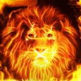 Fire Lion - Live Wallpaper + Keyboard Background5.0.39_funmod.online