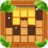 Woody Block Puzzle: Wood Game3.0.4_rowtechapk.com