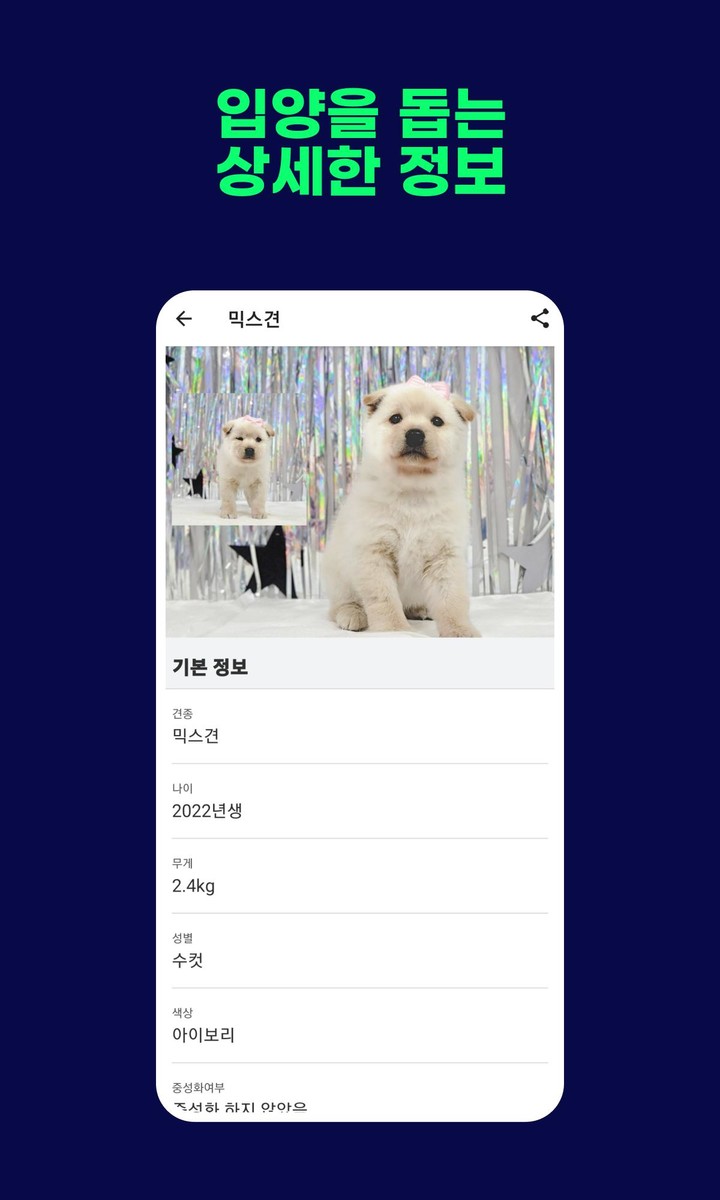 유기견 보호정보 screenshot image 3_funmod.online