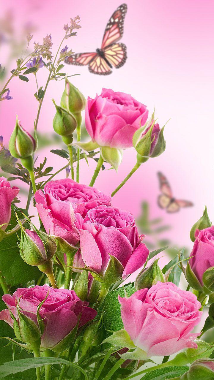 Rose Live Wallpaper screenshot image 9_funmod.online