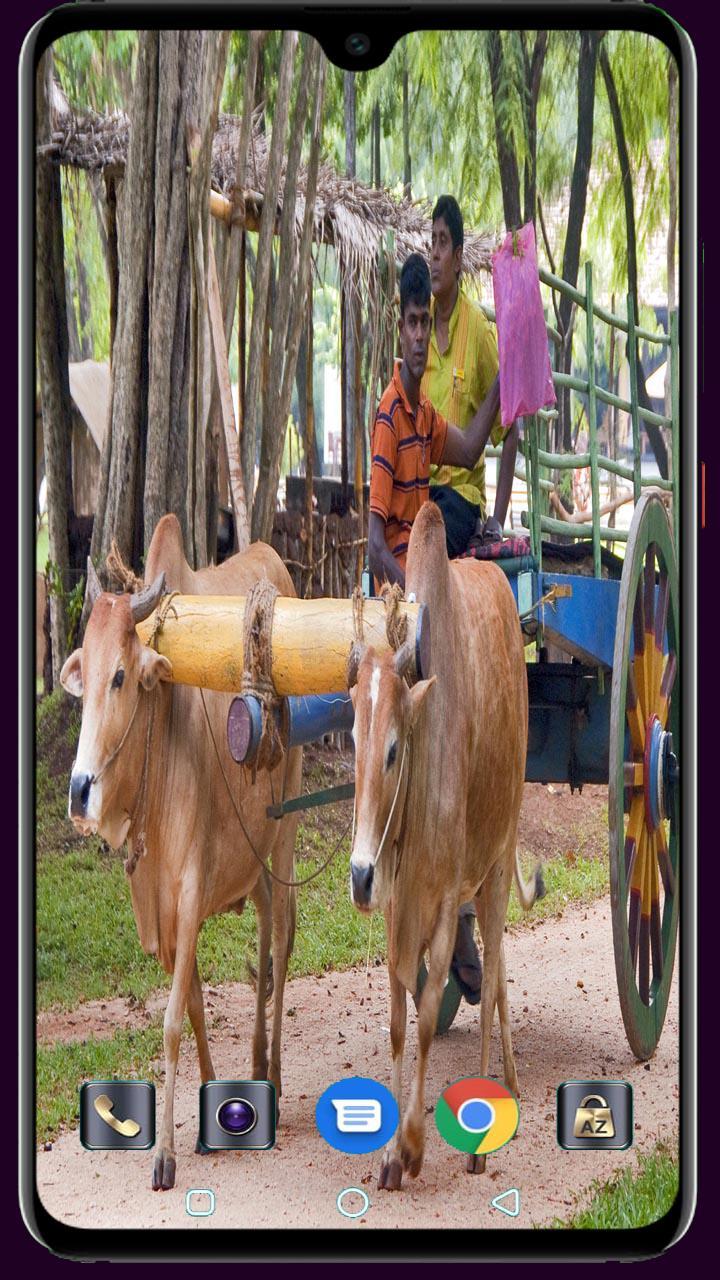 Medical Logo Maker screenshot image 29_funmod.online