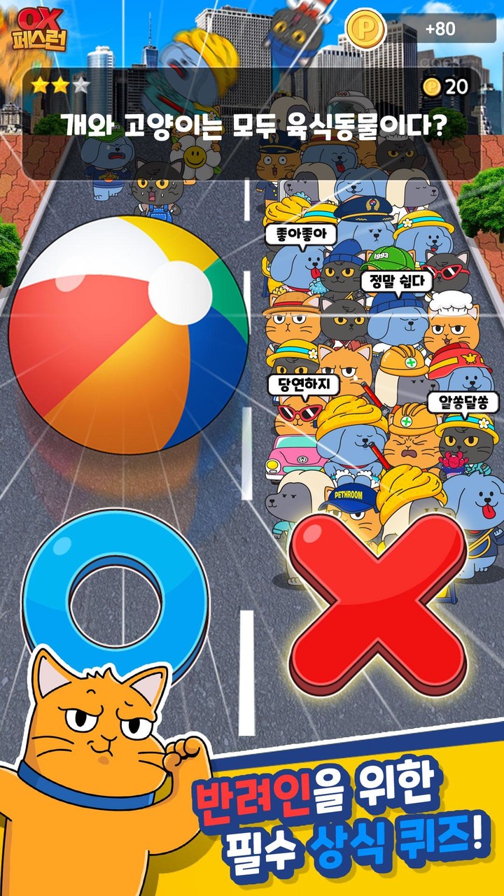 OX 페스런 - 강아지 고양이 상식 퀴즈 screenshot image 3_funmod.online