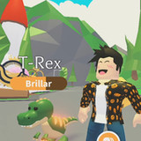 Adopt Me! Aid1.21_funmod.online