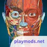 Anatomy Learning - 3D Anatomy<span>(Full version Unlocked)</span>2.1.425_funmod.online